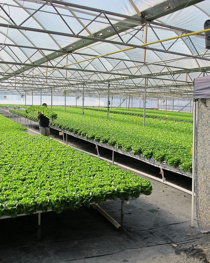 Horticulture